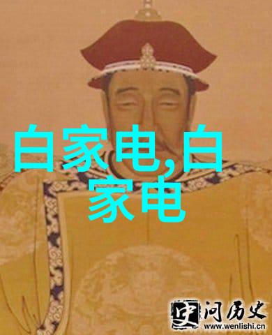 洗衣机里的秘密小天鹅半自动的奇迹与谜团