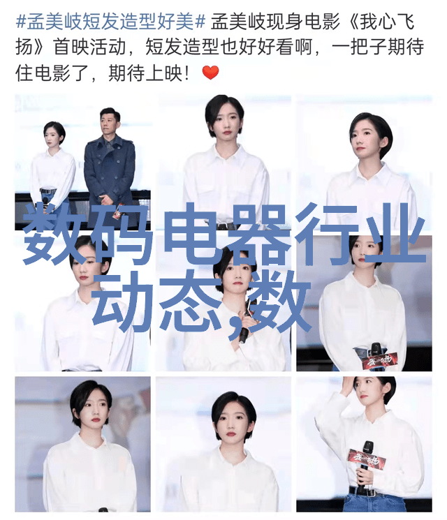 国家第三方检测机构的监管机制是否充分