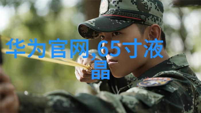 设计装修-精致居家从空间规划到细节完善的全方位设计指南