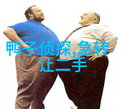 合肥职业技术学院与企业合作项目有哪些亮点