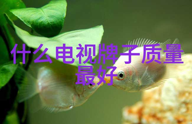 室外水电安装施工方案详细规划专业水电工程师团队安全操作流程材料选择建议