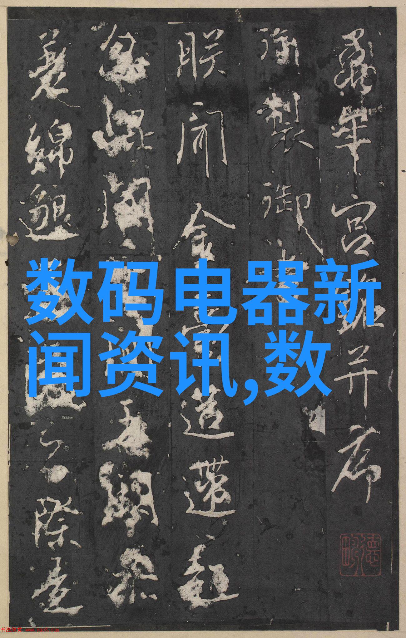 上海洗霸揭秘市井小贩的霸主之路