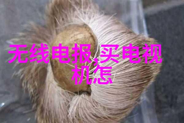 人工智能探访科技之旅中的数据密林