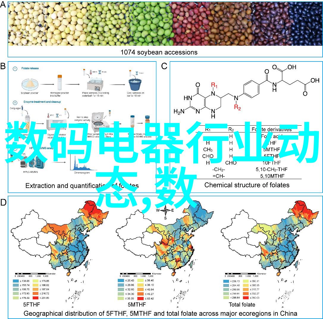 集成IC芯片电子设备的智能核心驱动者