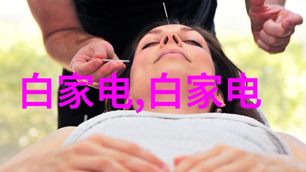 国家认可的软件测评机构确保软件质量的守护者