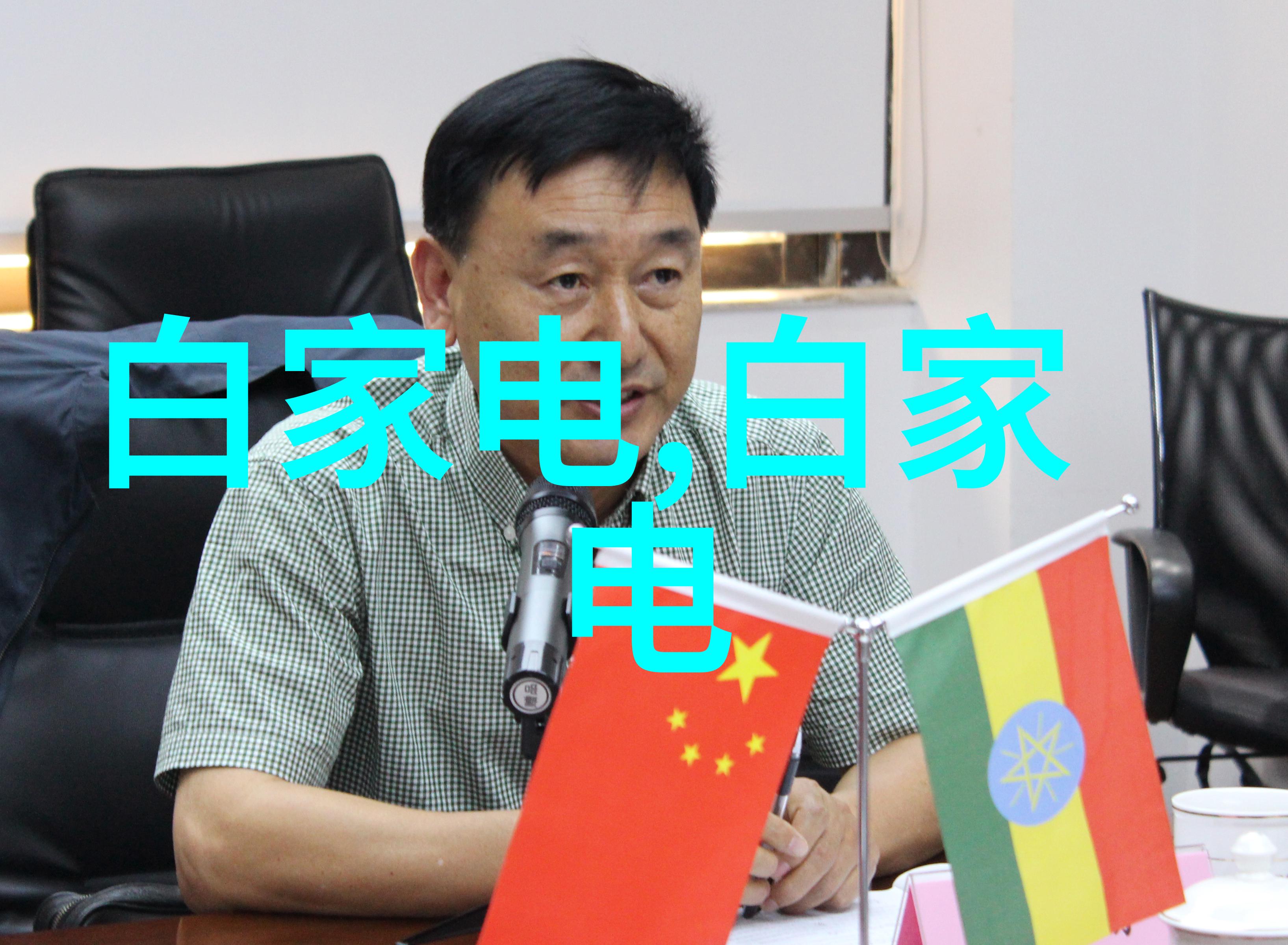 房地产金融化与买房贷款机制的研究探索信用评估风险管理与市场稳定性
