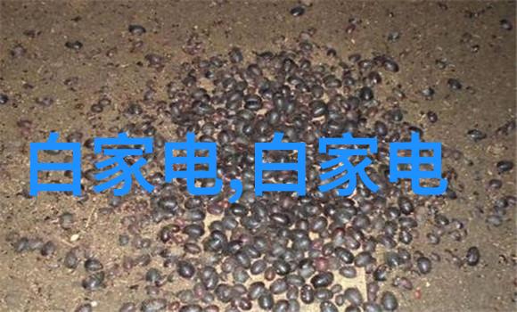 数码电器行业的供应链管理面临哪些挑战