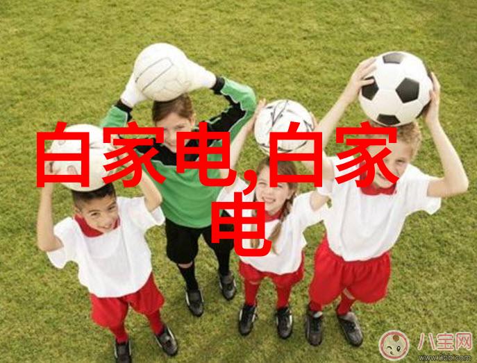 养殖场专用高压喷雾消毒机-清洁无缝养殖场专用高压喷雾消毒机的应用与效益