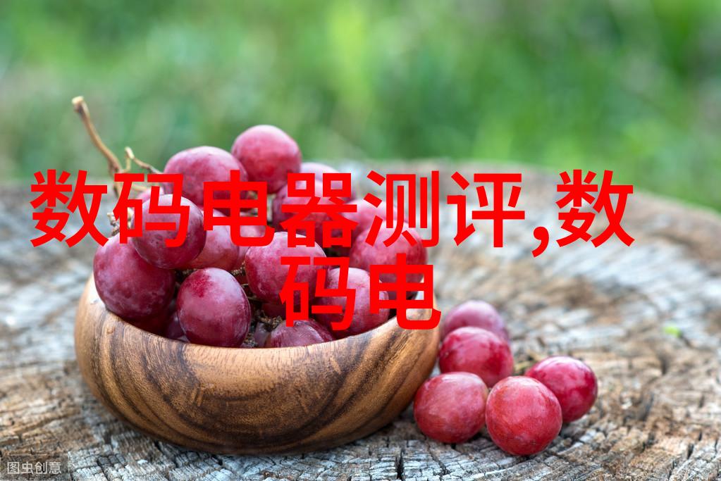 生活污水一体化处理设备打造绿色家园的关键利器