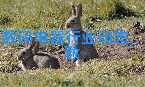 中央高校改革开放背景下中南财经政法大学的转型升级策略