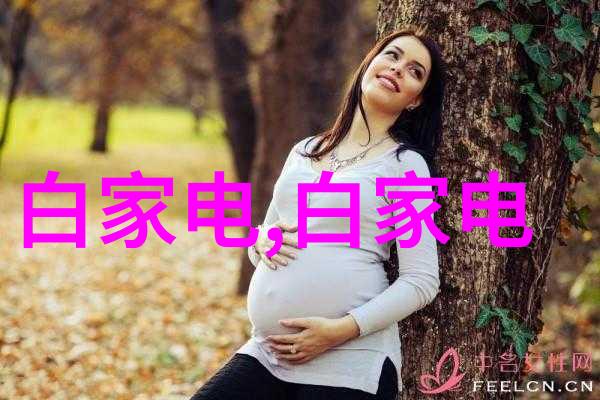 华为秋季新品发布会揭秘何时迎来科技革新