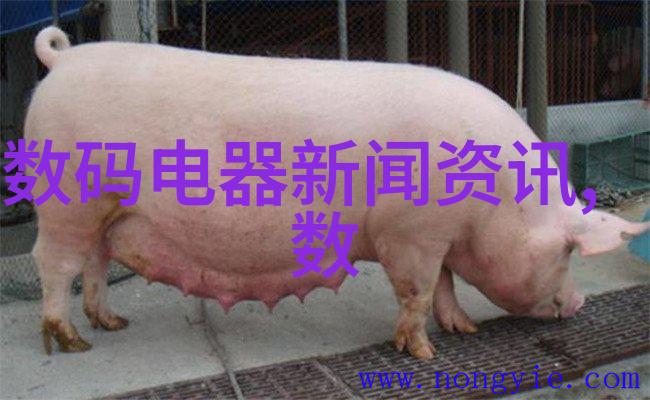 家居装修设计图家庭美化空间规划