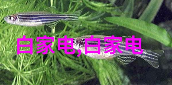 波纹填料密度优化不锈钢丝网的秘诀与应用