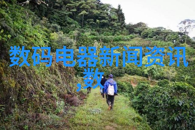 临沂装修风采追求品质生活的设计艺术