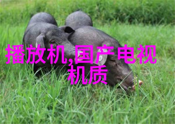 加氢反应釜内部结构-深度解析高效能量转换的加氢反应釜内部结构优化