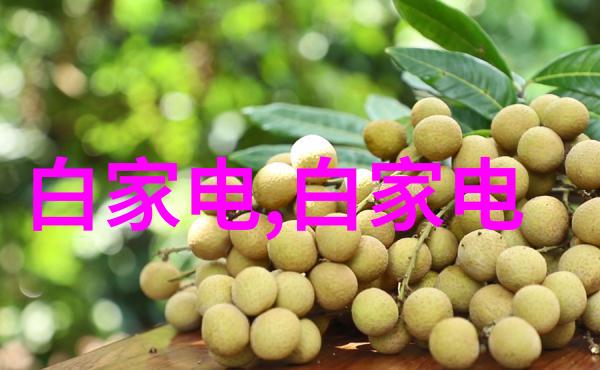 精准检测保障质量农产品检测仪器设备的重要性与应用前景
