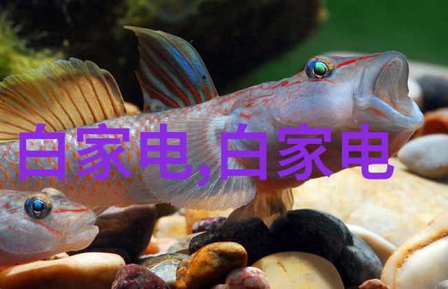 儿童多元智能测评系统真的能全面评估孩子的潜力吗
