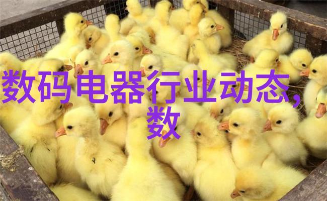 深夜下载黑色故事全集的秘密之旅