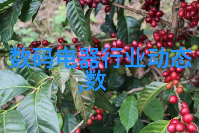 PPR与PE管材的选择自来水管用哪种更好