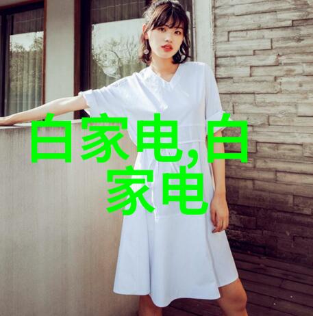 流动之舞解析多功能流化床的秘密语言
