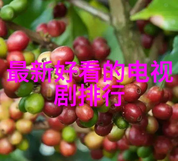 污水处理大侠贵州环保公司的不懈斗志