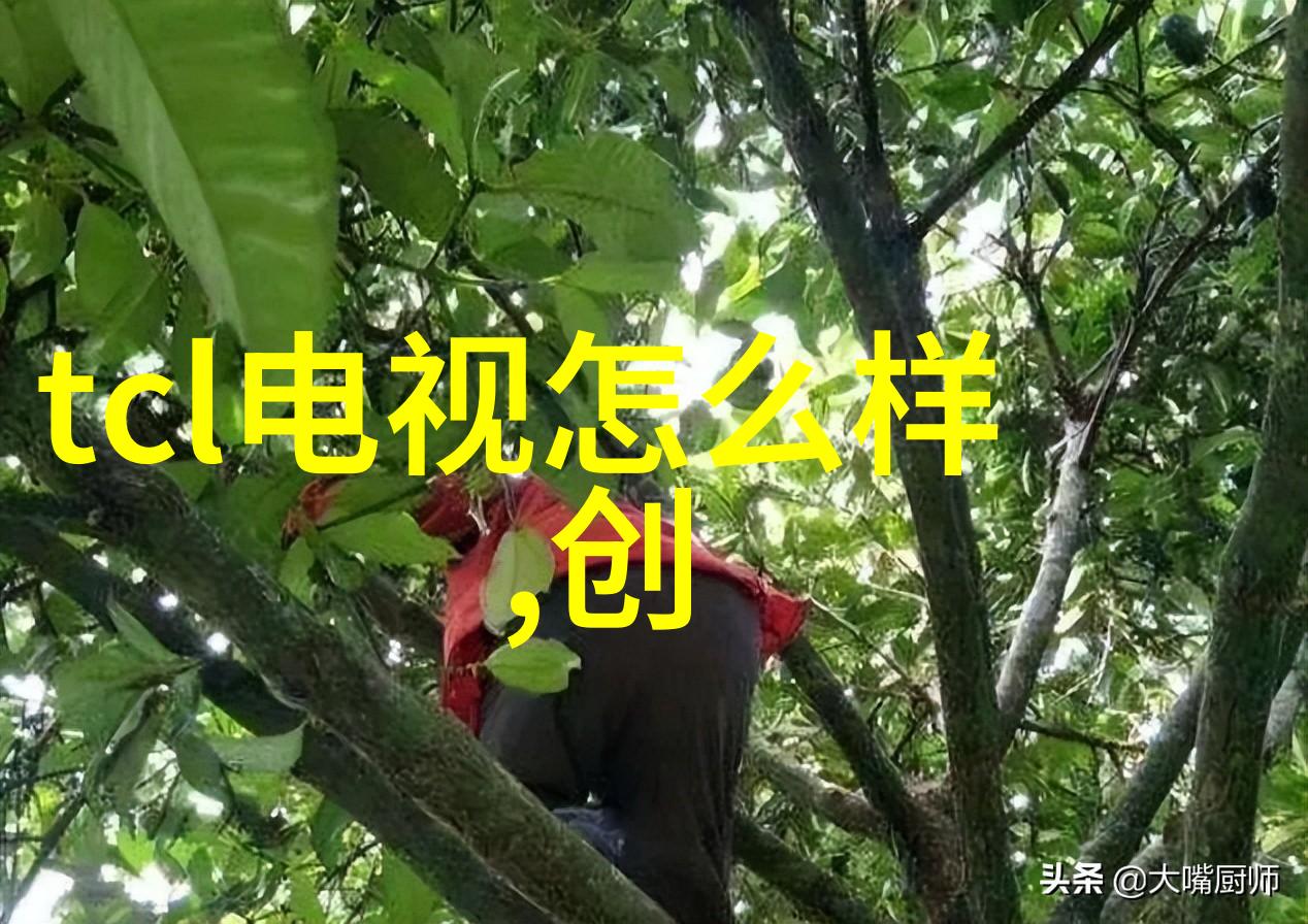 雷蒙机的奇迹与挑战揭秘这台改变印刷业的神器