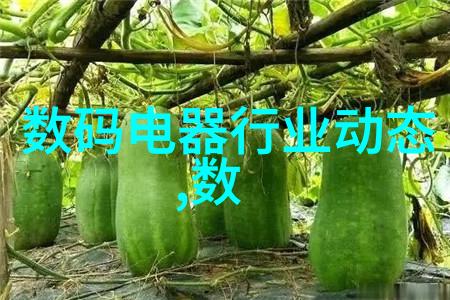 家庭日常中的科技创新塑料烘乾器对我们意味着什么