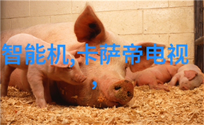 解锁智慧之谜八大智能测试量表的秘密面纱