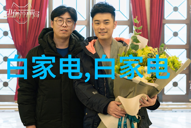 西南财经从数码小能手到金钱大侠的奇幻之旅