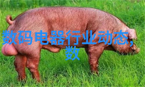 东南亚街头风采少女Rapper的Diss战