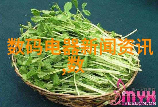 从零到英雄如何用一篇报告书点亮你的学术之星