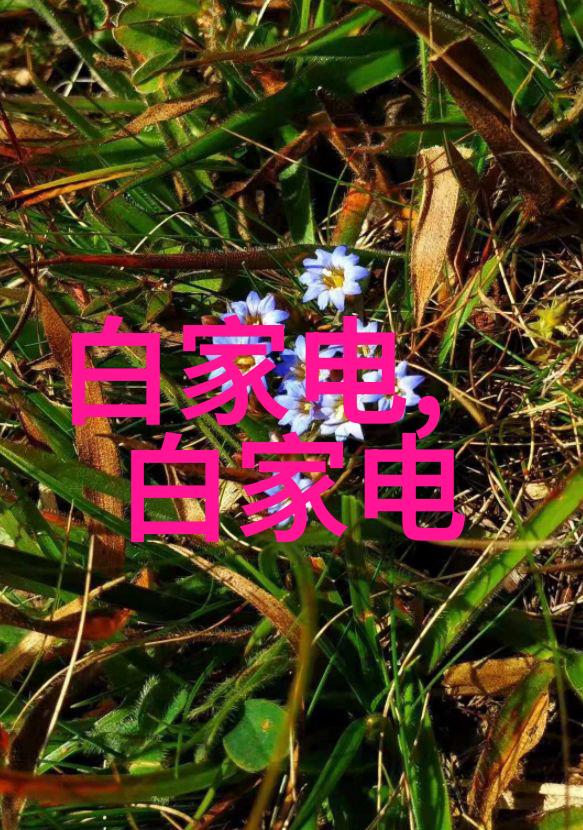 智能互联网新时代的数字化革命