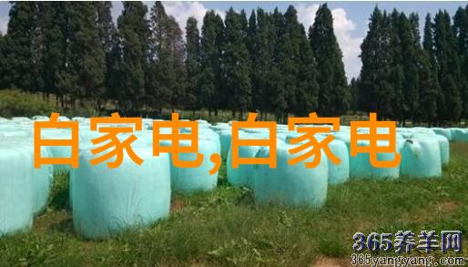 餐桌清洁新技术油水分离器的兴起与应用