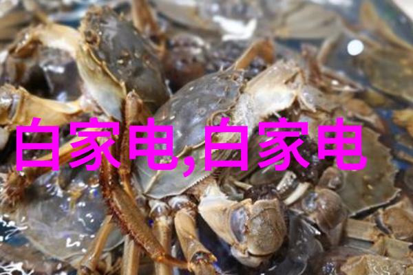 你知道吗小米芯片为啥还没被美国禁用