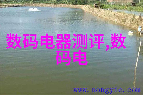 河源职业技术学院我在这座古老而又充满活力的校园里找到了自我