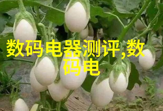中国药王之冠燃烧试验箱确保安全与卓越