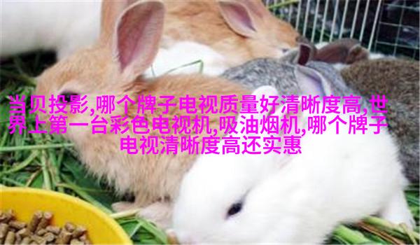 自然生态卧室