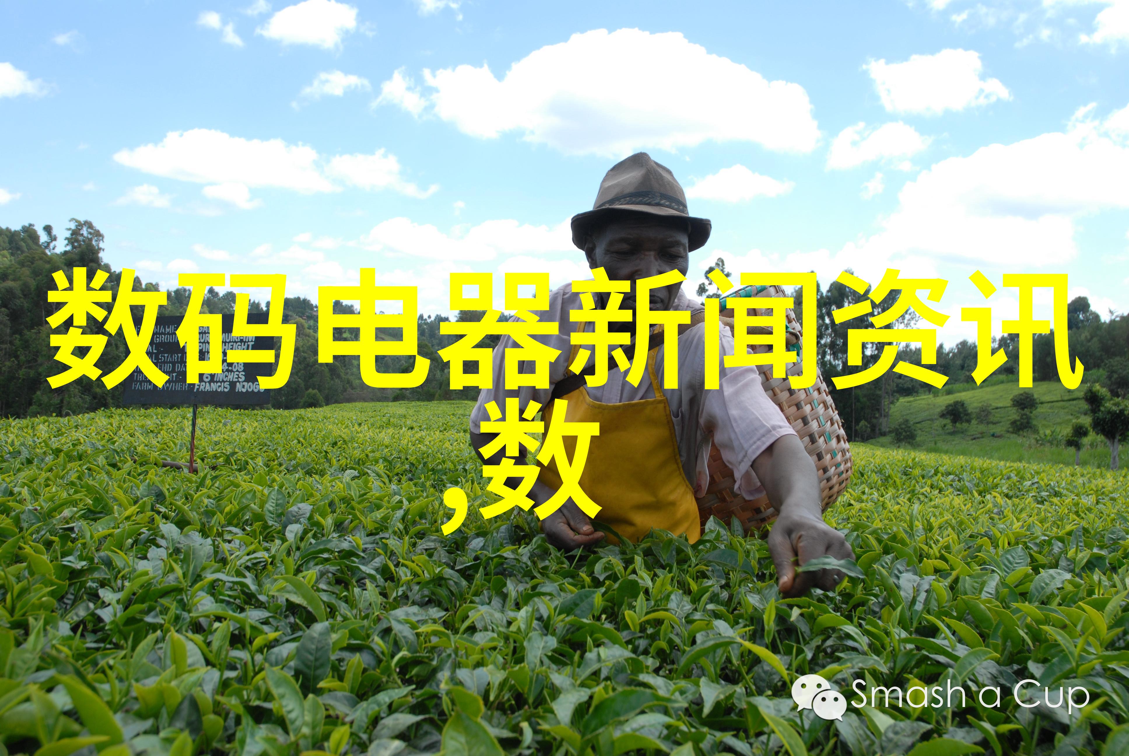 机器视觉训练新趋势深度学习技术如何提升图像识别能力