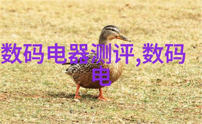 农村小型净水设备绿色健康生活的源泉