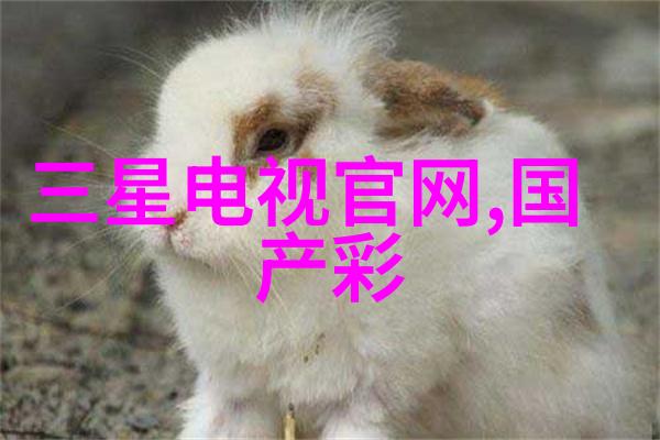 岁月静好景致更美摄影中的文艺时尚