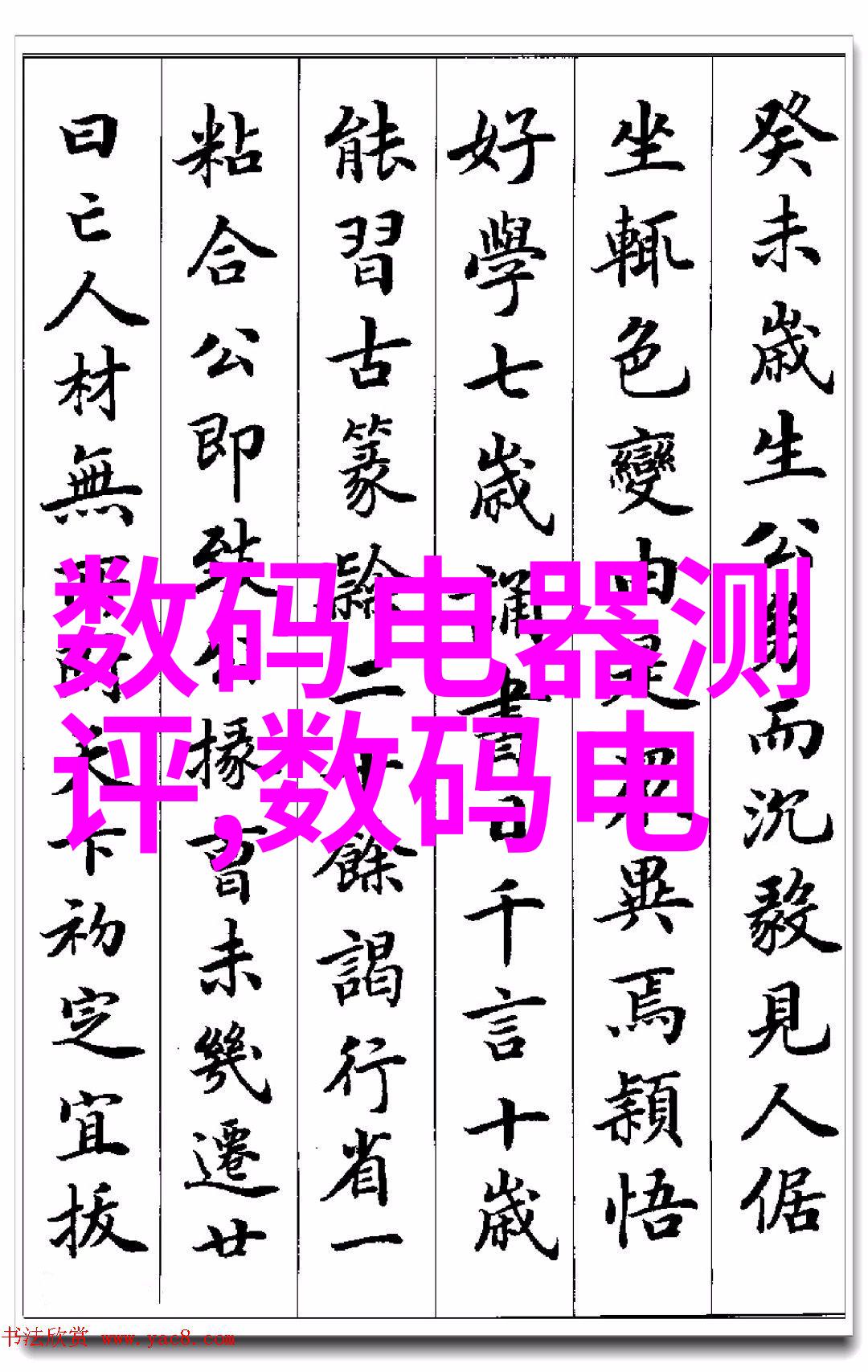 学校发展新篇章浙江工贸职业技术学院的未来规划展望