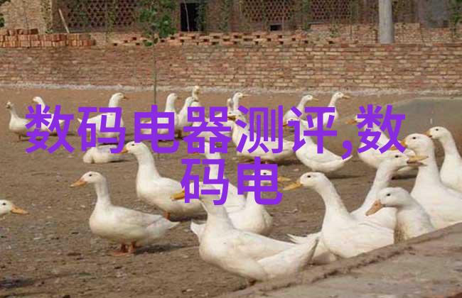 干燥设备厂技术革新与工业干燥解决方案的领跑者