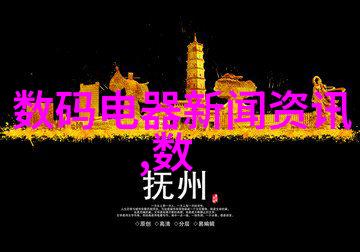 金钱之轮财经大学的智慧与梦想