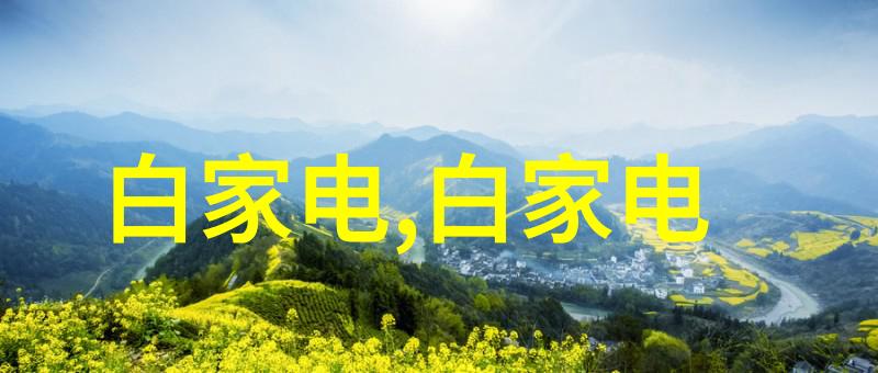 数码电器测评-深入探讨当下热门数码电器的性能与性价比