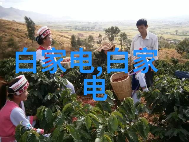 精密工艺与粗糙操作其他制剂设备的双重面纱
