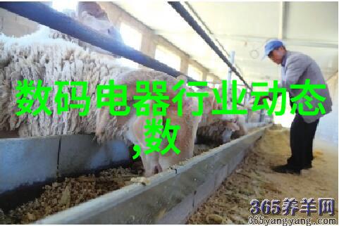 客厅设计效果图大全追求卓越的生活品质