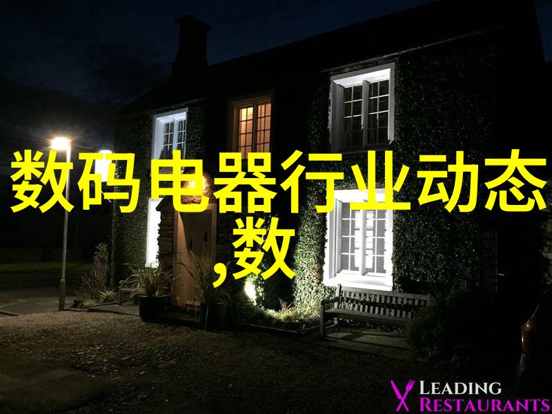 学术报告深入分析现代情报收集与处理机制的现状与挑战