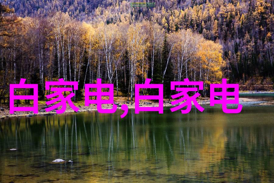 经济体的脉搏市场的内涵与功能