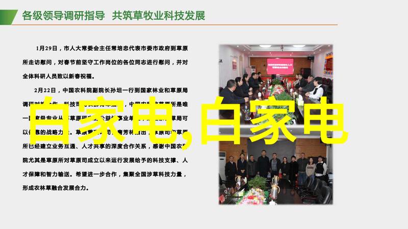 巴西BBABBABBABBA我在音乐节上遇见的那首令人疯狂的热曲