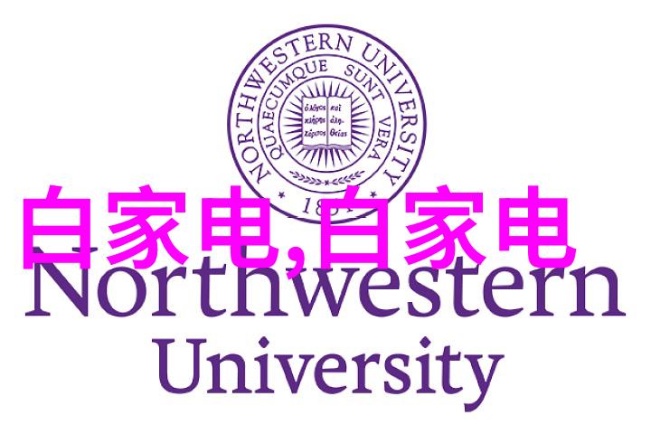 情况报告撰写指南